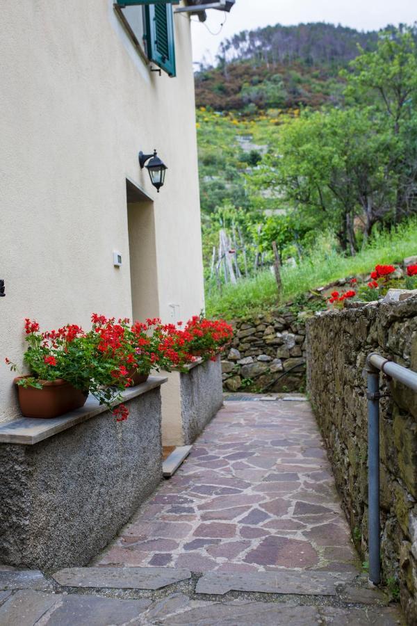 Casa Vacanze Tra Le Mura เลวานโต ภายนอก รูปภาพ