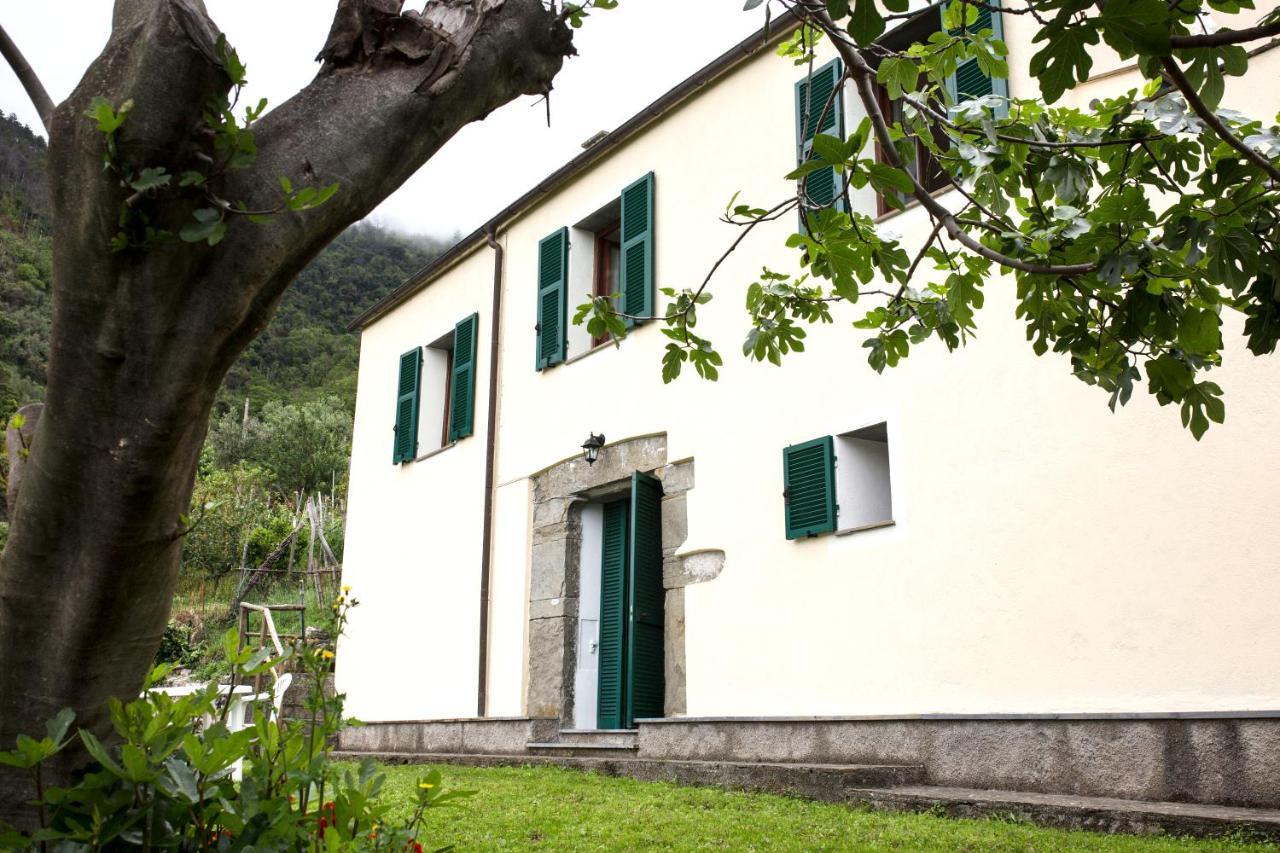 Casa Vacanze Tra Le Mura เลวานโต ภายนอก รูปภาพ